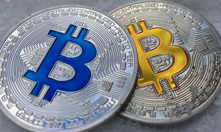 BCH(b超单3个数据看男女)